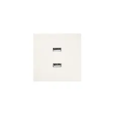 ZIMA Розетка 2-ая USB, механизм, слоновая кость Lezard 704-9088-192