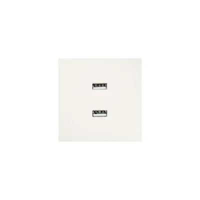 ZIMA Розетка 2-ая USB, механизм, слоновая кость Lezard 704-9088-192