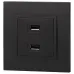 14-4110-05 ЭРА Устройство зарядное USB, 230В/5В-2100мА, IP20, Эра Elegance, антрацит (6/60/1920)