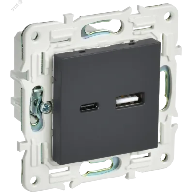 SKANDY Розетка USB A+C 3,1А SK-R14G графит IEK