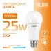 Лампа Gauss Elementary A70 25W 2000lm 3000K E27 LED 1/10/50