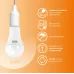 Лампа Gauss Elementary A67 30W 2320lm 3000K E27 LED 1/10/50
