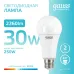 Лампа Gauss Elementary A67 30W 2360lm 4100K E27 LED 1/10/50