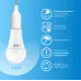 Лампа Gauss Elementary A70 30W 2390lm 6500K E27 LED 1/10/50