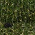 Садовая гирлянда ЭРА ERASF22-41 на солнечной батарее Занавес 1,5*1,5 метра, 192 LED