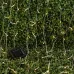 Садовая гирлянда ЭРА ERASF22-41 на солнечной батарее Занавес 1,5*1,5 метра, 192 LED