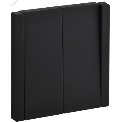 FORTE&PIANO Выключатель 2-клавишный 10А FP105M металл черный IEK