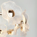 Люстра светодиодная LED 30Вт 3000K 6135-101 Shannon дизайн Rivoli
