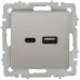 BRITE Розетка USB A+C 18Вт РЮ11-1-БрГН металл хром/никель IEK