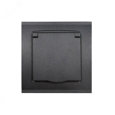 Розетка одноместная с крышкой серия Бриллиант с заземлением, с защитными шторками, скрытой установки, 16А, 220В, графит