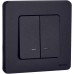 Выключатель 2-клавишный с подсветкой/индикацией 10АХ безвинтовое крепление антрацит INSPIRIA