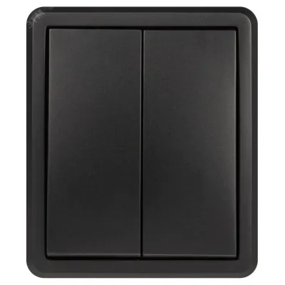 Выключатель ЭРА Эксперт 11-1205-05 двойной с подсветкой IP20 10АХ-250В ОУ антрацит