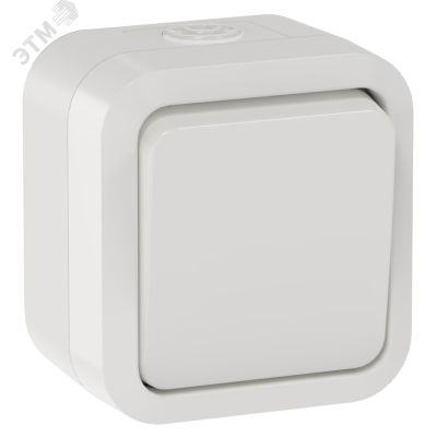 TORS Выключатель двухполюсный одноклавишный 10А IP55 TS311 белый IEK