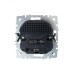 BRITE Розетка с заземлением с защитными шторками 16А с USB A+C 18Вт РЮш11-1-БрГ графит
