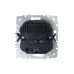 BRITE Розетка с заземлением с защитными шторками 16А с USB A+C 18Вт РЮш11-1-БрГ графит