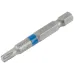 Биты стальные, 2 шт., Profi, TORX T25, 50 мм