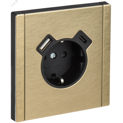 FORTE&PIANO Розетка 1-местная с заземлением с защитными шторками винтовое крепление 16А USB A+C 18Вт FP647M металл шампань IEK