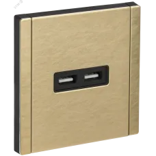 FORTE&PIANO Розетка USB A+A 3,1А FP649M металл шампань IEK