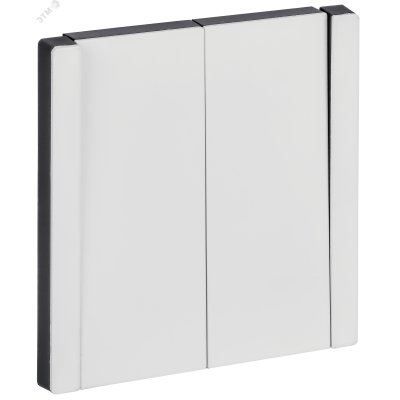 FORTE&PIANO Выключатель 2-клавишный 10А FP205M металл белый IEK