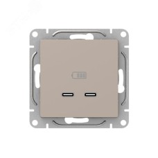 Механизм розетки USB-C - 2шт  кремовый Эпика EKF