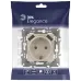 14-4109-04 ЭРА Розетка 2P+E 16A-250В, штор. с 2xUSB 5В-3А, Эра Elegance, шампань (10/100/2000)