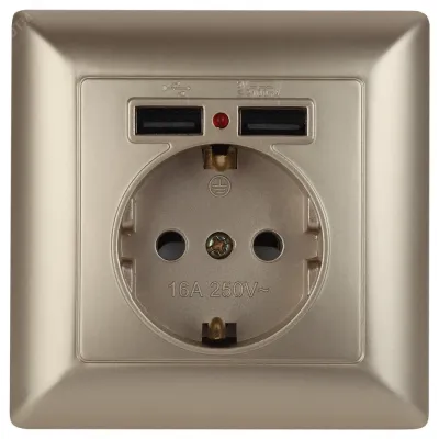 4-410-04 Intro Розетка P+E Schuko со шторками, 16А-250В + 2хUSB, СУ, Solo, шампань (10/100/2500)