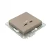 Механизм розетки USB-C - 2шт  шампань Эпика EKF