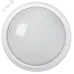 Светильник авар. LED ДПО 5342 12Вт 1,5ч 4000К IP54 круг IEK