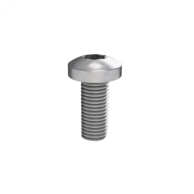 Винт M5x25 для шинного держателя (20 шт) RAM power