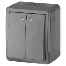11-1405-03 ЭРА Выключатель двойной с подсветкой IP54, 10АХ-250В, ОУ, Эра Эксперт, серый (16/160/1920