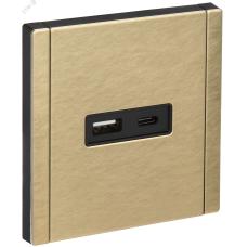 FORTE&PIANO Розетка USB A+C 3,1А FP650M металл шампань IEK