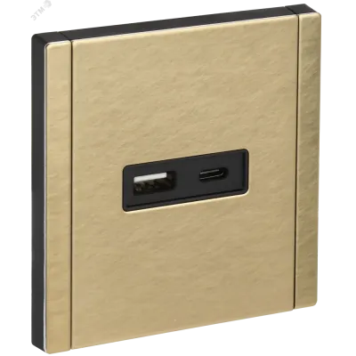 FORTE&PIANO Розетка USB A+C 3,1А FP650M металл шампань IEK