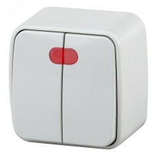 3-105-01 Intro Выключатель двойной с подсветкой, 10А-250В, IP20, ОУ, Polo, белый (18/360/4320)