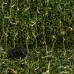 Садовая гирлянда ЭРА ERASF22-41 на солнечной батарее Занавес 1,5*1,5 метра, 192 LED Садовая гирлянда ЭРА ERASF22-41 на солнечной батарее Занавес 1,5*1,5 метра, 192 LED