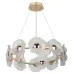 Люстра Rivoli Shannon 6135-101 светодиодная LED 30 Вт 3000 K дизайн