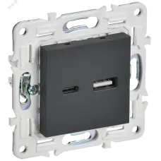 SKANDY Розетка USB A+C 18Вт SK-R13G графит IEK