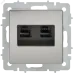BRITE Розетка компьютерная двойная RJ45 кат.6 РК11-2-БрГН металл хром/никель IEK