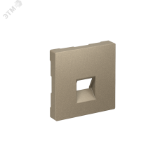 ATLASDESIGN НАКЛАДКА для информационных функций типа Keystone, ШАМПАНЬ