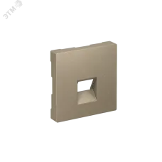 ATLASDESIGN НАКЛАДКА для информационных функций типа Keystone, ШАМПАНЬ