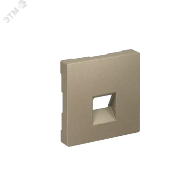 ATLASDESIGN НАКЛАДКА для информационных функций типа Keystone, ШАМПАНЬ