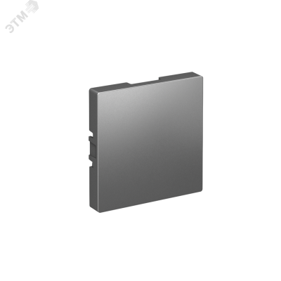 ЗАГЛУШКА ATLASDESIGN СТАЛЬ