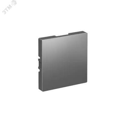 ЗАГЛУШКА ATLASDESIGN СТАЛЬ