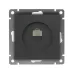 Розетка компьютерная одноместная UNIVersal серия Афина с/у, 1А, RJ45, графит (еврослот), механизм Розетка компьютерная одноместная UNIVersal серия Афина с/у, 1А, RJ45, графит (еврослот), механизм