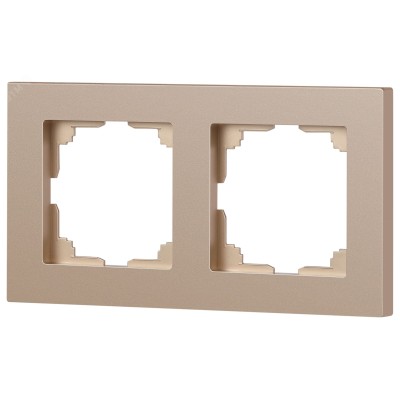 Рамка для розеток и выключателей Intro Accent 6-502-04 на 2 поста, СУ, шампань