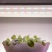 Светодиодная лента для растений ЭРА FITO-Strip Light-Rа90-300LED-5m-12V-IP65 полного спектра 5м IP65 с адаптером 12В