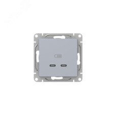 Эпика Механизм розетки USB-C - 2шт алюминий EKF