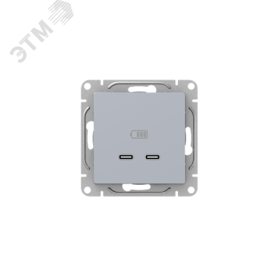 Эпика Механизм розетки USB-C - 2шт алюминий EKF