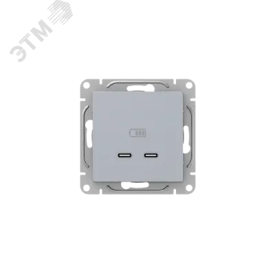 Эпика Механизм розетки USB-C - 2шт алюминий EKF