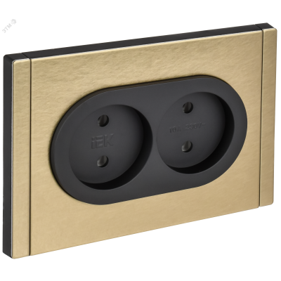 FORTE&PIANO Розетка 2-местная без заземления без защитных шторок безвинтовое крепление 10А FP626M металл шампань IEK