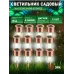 Светильник уличный ЭРА SL-SS30-CPR-M на солнечной батарее, нержавеющая сталь, медный, 32 см (комплект 12 шт. под МП)